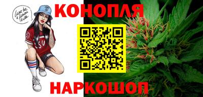 индика Мариинск